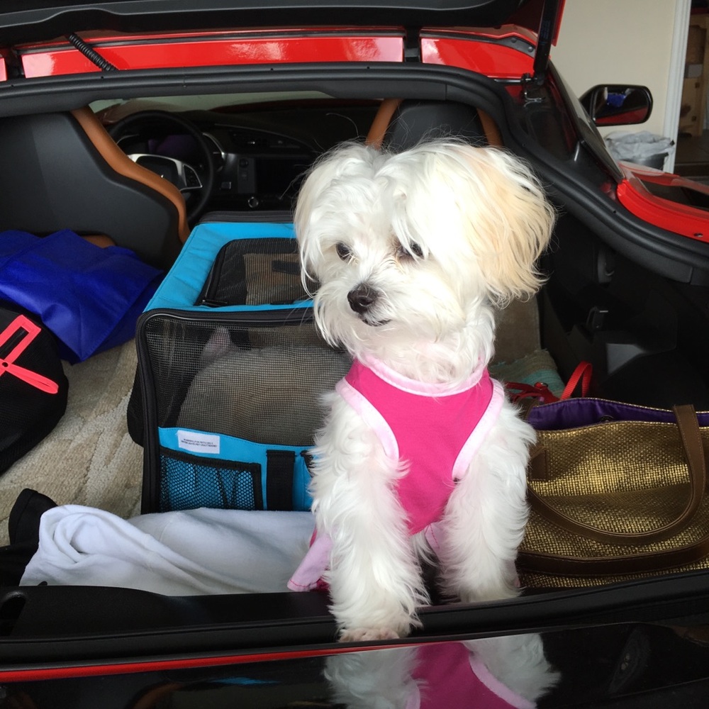 Meet your Posher, Debra